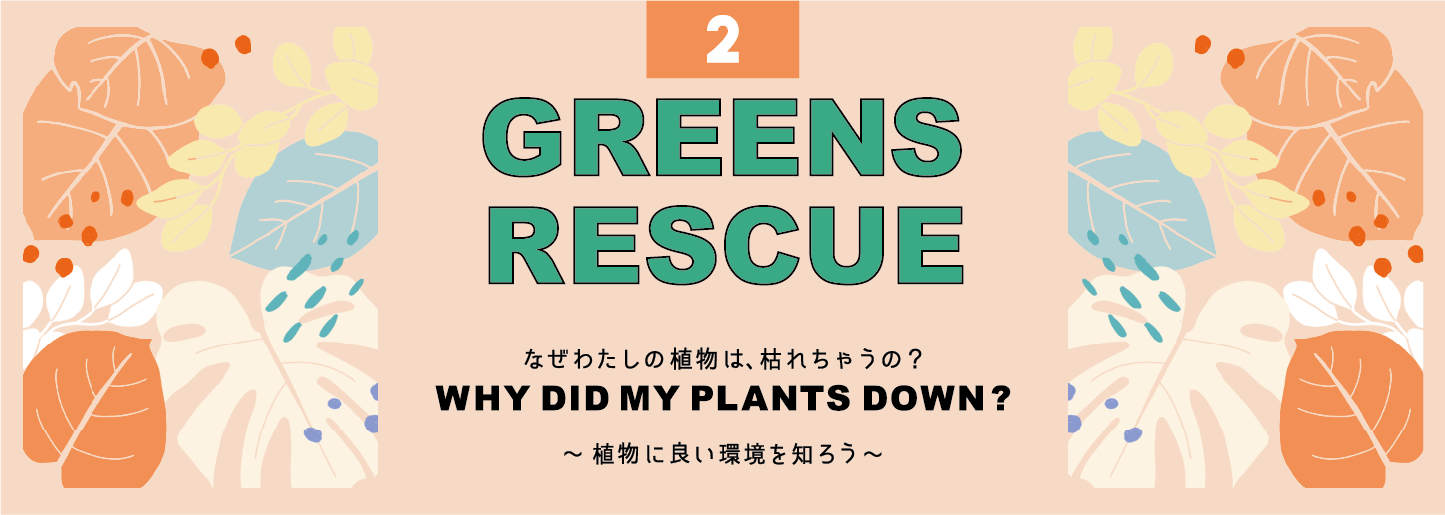 なぜわたしの植物は、枯れちゃうの？　GREENS RESCUE　WHY DID MY PLANTS DOWN?　~植物に良い環境を知ろう~